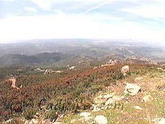 Cadiz:Parque Natural de los Alcornocales