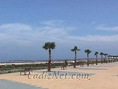 Cadiz:Paseo Marítimo (Conil de la Frontera)