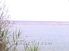 Cadiz:Estuario del Río Guadiaro