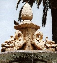 Pie_imagen