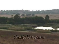 Cadiz:Laguna del Taraje