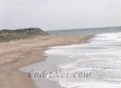 Cadiz:Playa de Punta Candor (Rota)