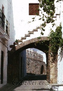 Cadiz:Arco de la Segur, una muestra de las edificaciones defensivas históricas que se conservan en Vejer de la Frontera